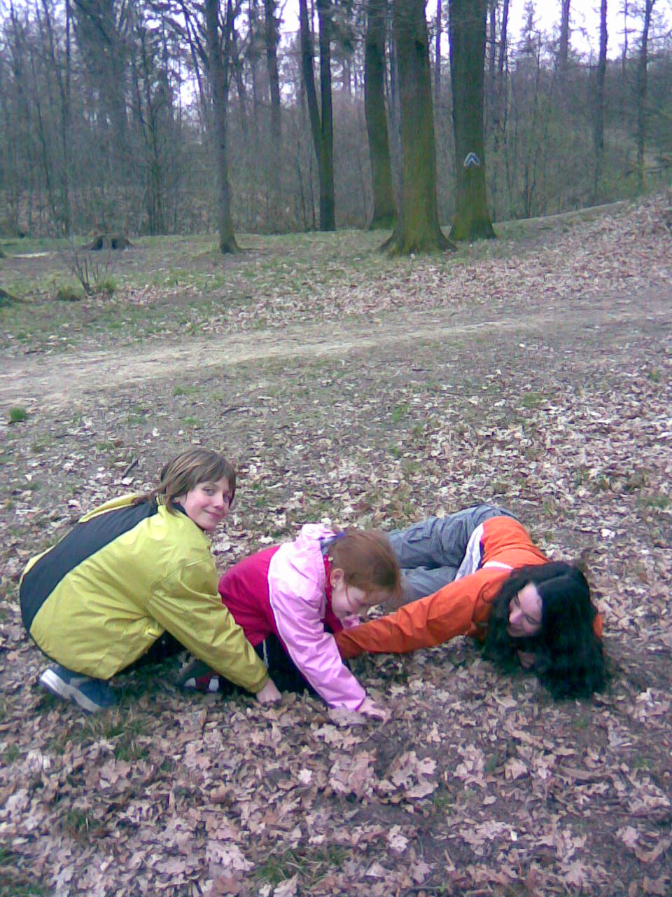 Image014.jpg